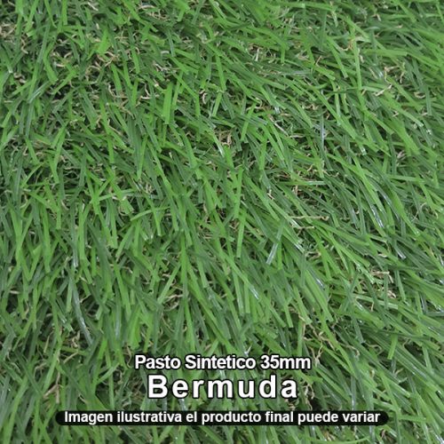 9.3 Pasto Bermuda